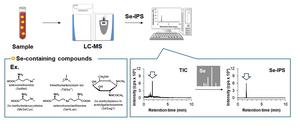 LC-Q-Orbitrap Mass Spectrometer Enables High-Precision Se Analysis