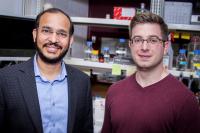 Research Team