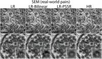 An Image Showing the Side by Side Versions of Electron Microscope Captures