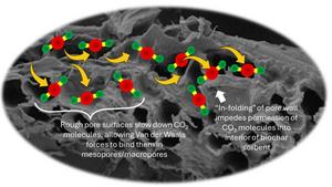 Ascertaining the role of mesopores and macropores in capturing carbon dioxide in multi-hierarchical biochar sorbent: a theoretical and experimental approach