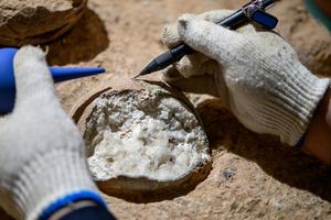 Fossil sampling