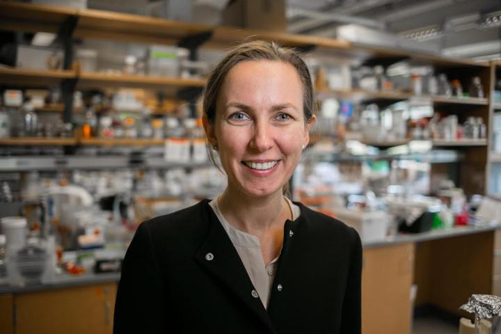 Katharina Ribbeck, Massachusetts Institute of Technology