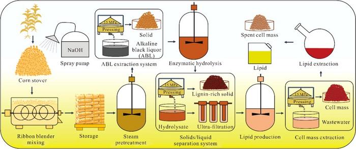 Successful Conversion of Corn Stover into Microbial Lipids at High Solids Loading by Rhodosporidium toruloides in Pilot Scale