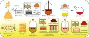 Successful Conversion of Corn Stover into Microbial Lipids at High Solids Loading by Rhodosporidium toruloides in Pilot Scale