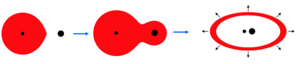 An illustration of common envelope evolution in binary star evolution