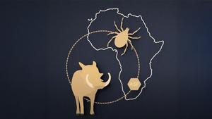 The Deadly Five: African Swine Fever