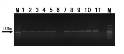 PCR Products