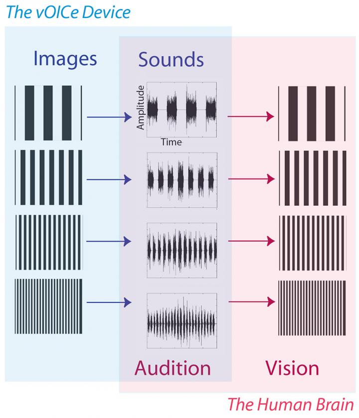vOICe Encoding Ven Diagram