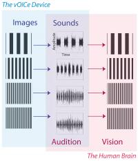 vOICe Encoding Ven Diagram