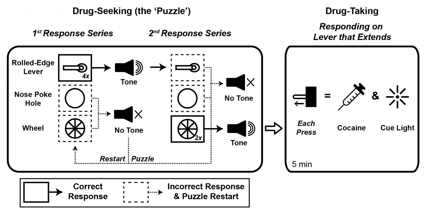 Puzzle Solving
