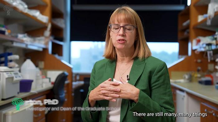 Jennifer Gerton, Ph.D., discusses breakthrough discovery surrounding how Chromosomes evolve