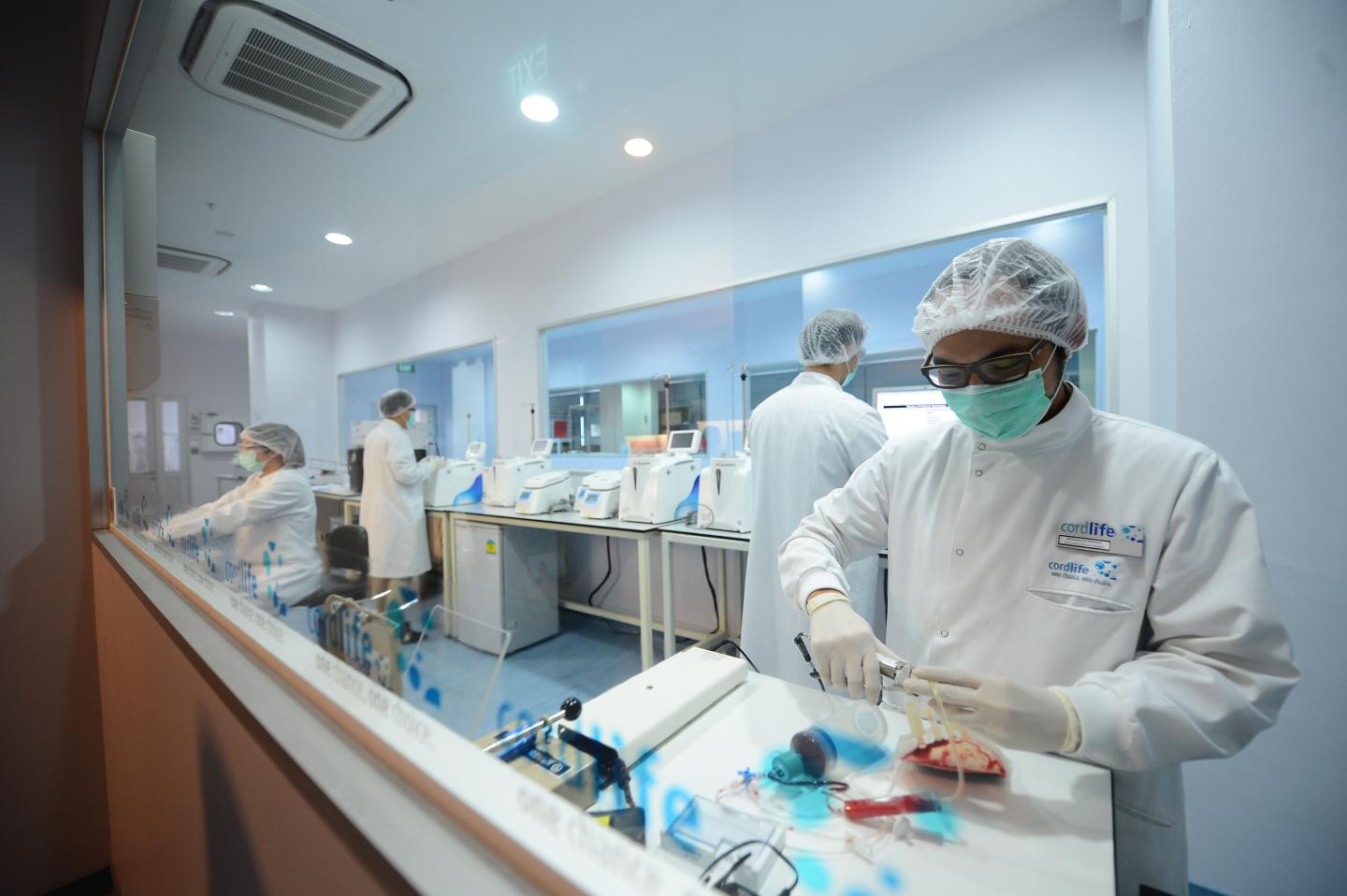 Cord blood