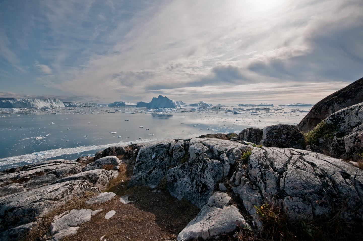Greenland Icebergs