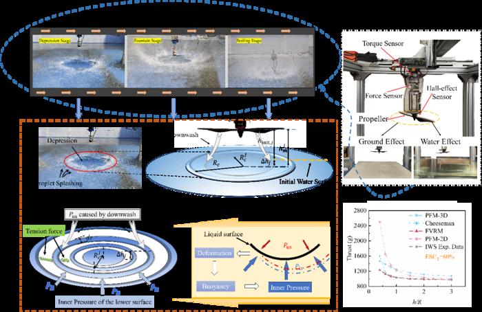 Flow field evolution and thrust behavior of rotors in Free Water Surface Effect