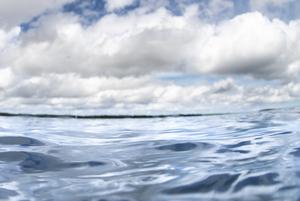 Drowning Prevention for Children with Autism