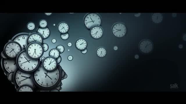 Circadian Science:  Fighting Cancer with Our Biological Clocks