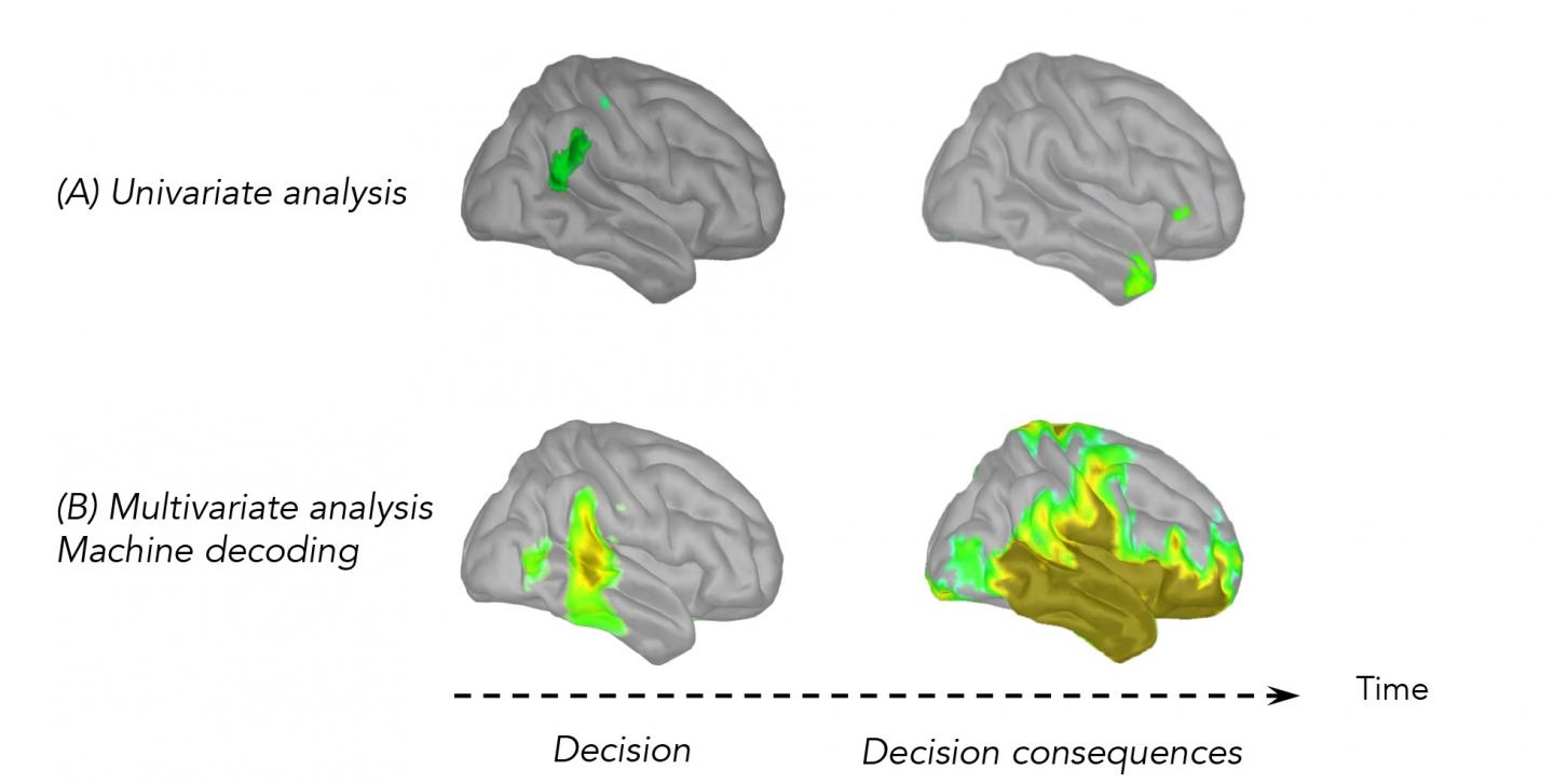 The (Traditional) Univariate Analysis of MEG (Magnetoencephalography) Activity