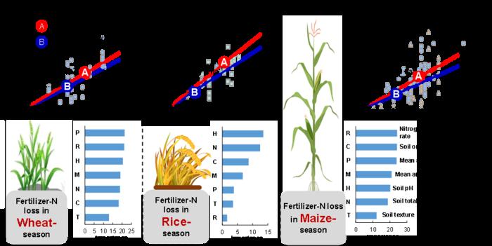 Graphical abstract