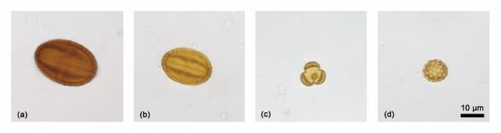 Pollens