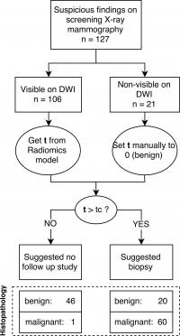 Flow Diagram -- Benign and Malignant Lesions