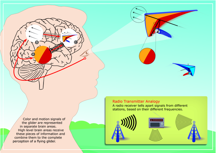Info graphic