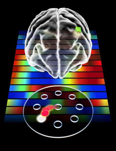 Motor Memory