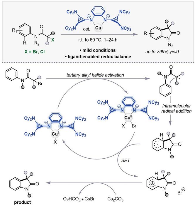 KAIST Develops a Strategy to Balance Radical Generation and Catalyst Regeneration, Enabling Challenging Chemical Reactions