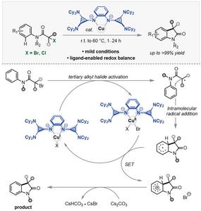 KAIST Develops a Strategy to Balance Radical Generation and Catalyst Regeneration, Enabling Challenging Chemical Reactions