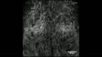 Calcium Signaling Movie