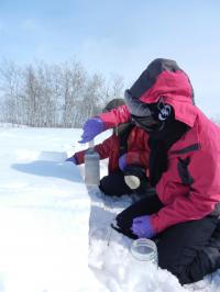 Sampling Snow