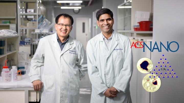  Professor Youngkyo Seo and Dr. Jitendra N. Tiwari, UNIST