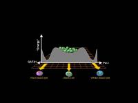 Stem Cell Attractors
