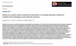 Sleep as a system-level resilience mechanism in complex dynamic networks: Insights from biological and artificial system