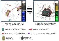 Figure 2 Proposed Structures in the Solution at Low Temperature 