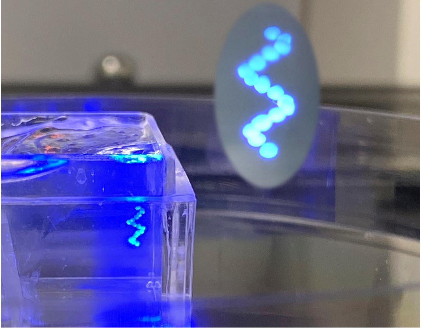 Bioprinted Helix