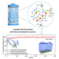 Visual Abstract: A Cold-Tolerant Electrolyte for Lithium-Metal Batteries Emerges in San Diego