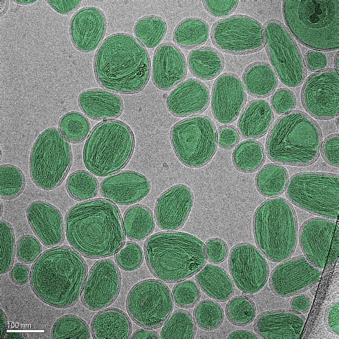 nanoparticles image