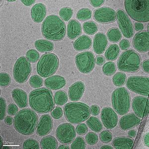 nanoparticles image