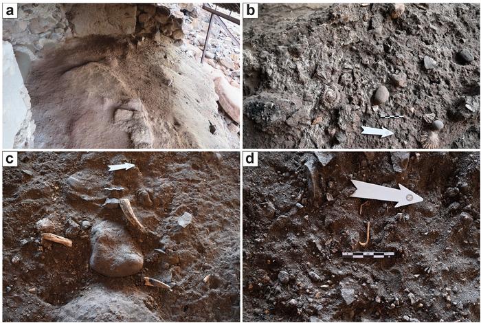 Specialized marine exploitation on African islands: A multiproxy archaeological analysis of the Playa Chica site, Gran Canaria (11th–13th CE)