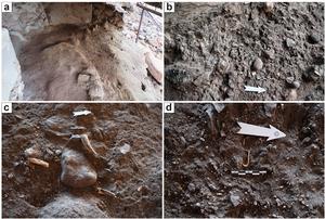 Specialized marine exploitation on African islands: A multiproxy archaeological analysis of the Playa Chica site, Gran Canaria (11th–13th CE)