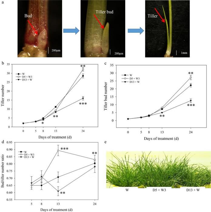 Fig.2
