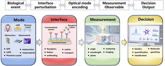 A Mode–Interface–Measurement–Decision framework for nanophotonic biosensing