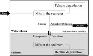 Conceptual scheme of the microplastics (MPs) transport module.