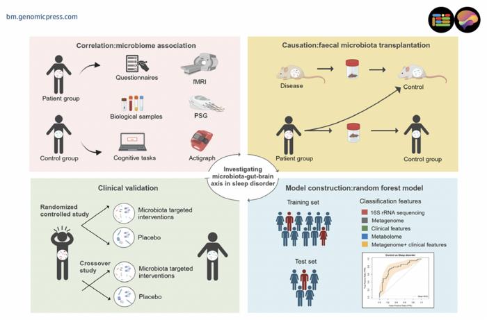 Investigate sleep-brain-gut-axis. Methods for investigating brain-gut axis mechanisms in sleep and potential therapeutic approaches.