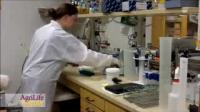 Texas A&M Center Confronts Antibiotic Crisis with Potential New Bacterial Treatment