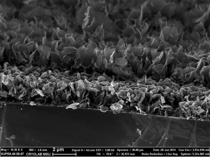 Side View Microphotograph 