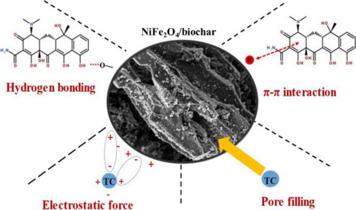 Facile preparation of NiFe2O4/biochar composite adsorbent for efficient adsorption removal of antibiotics in water