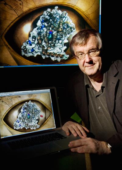 Schulten and Cryptochrome