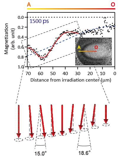 Spin Distribution 