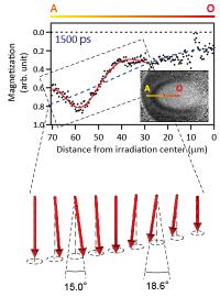 Spin Distribution 